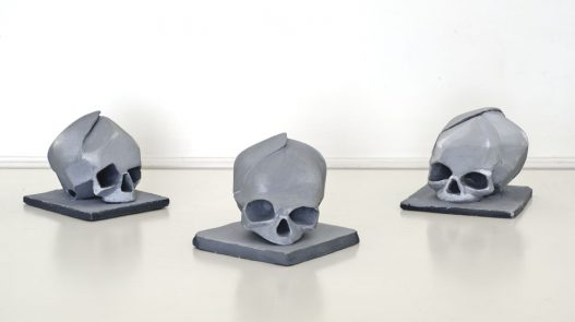 Crâne embryonnaire x3