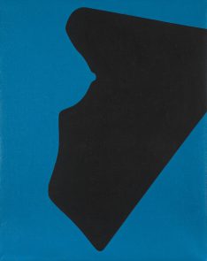 Papillon bleu - 1968